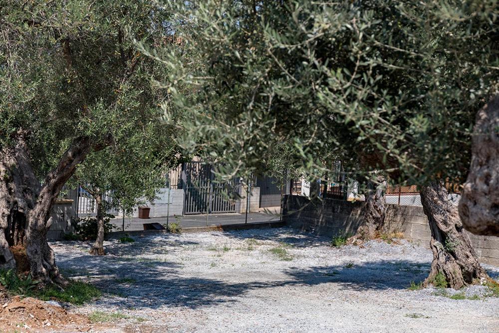 B&B Il Feudo Cirella Exterior foto